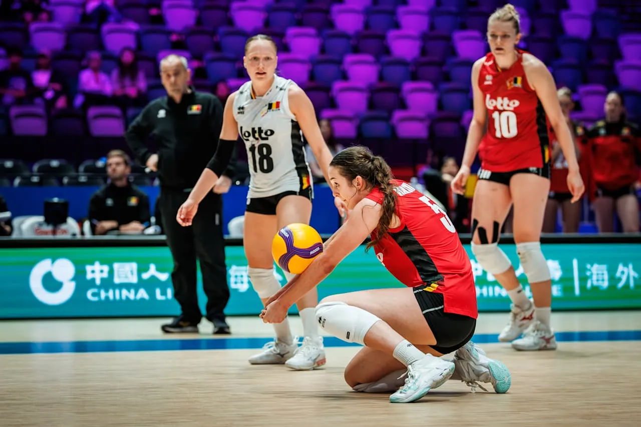 Belgium vs Domenican Republic