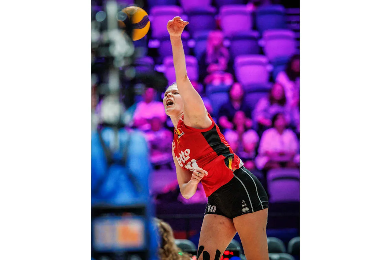 Belgium vs Domenican Republic