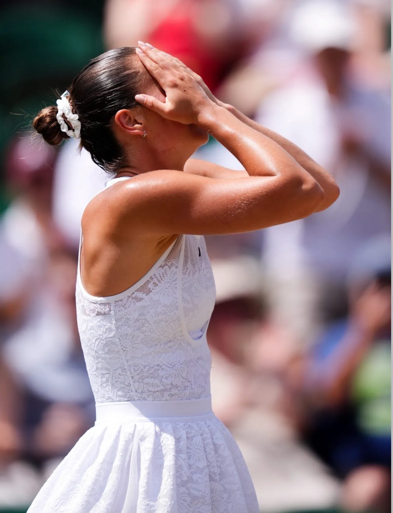 Wimblendon 2026 Semifinals