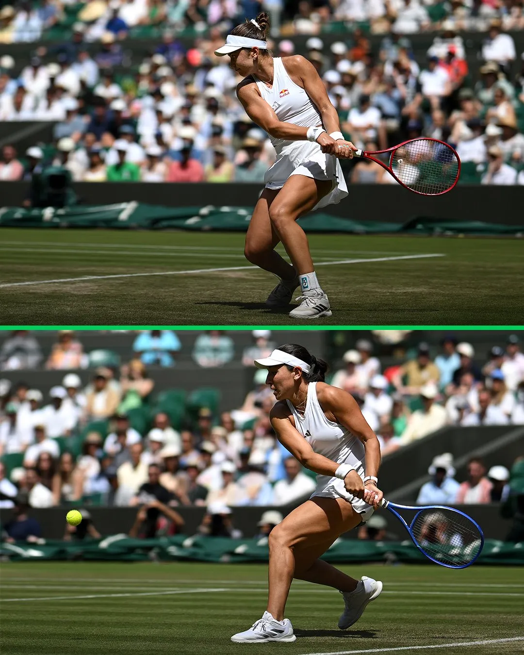 Wimbledon 2026: WTA First Week
